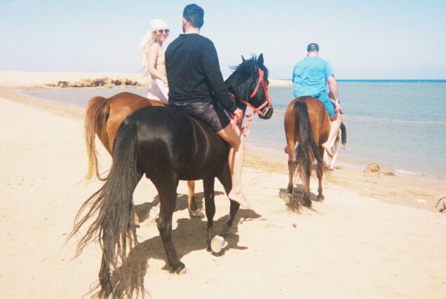 Egypt Uncovered: Action-Packed Rider Adventure (Cairo - Luxor - Red Sea)