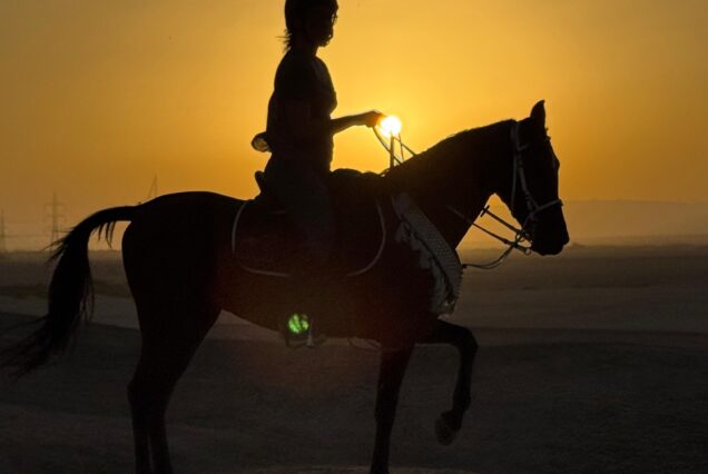 Sunset Farmlands & Dunes Ride