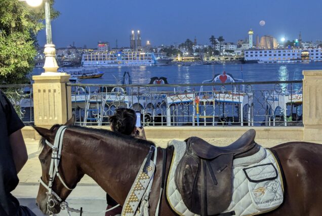 Farmlands And Sunset Nile Cruise