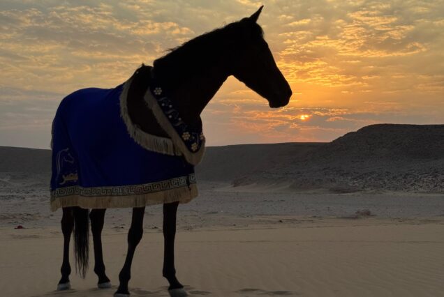 Desert Exploration Adventures